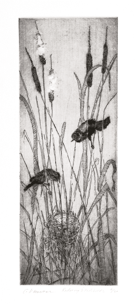 Intaglio print. Etching and drypoint, copper plate: 10 cm x 26.7 cm