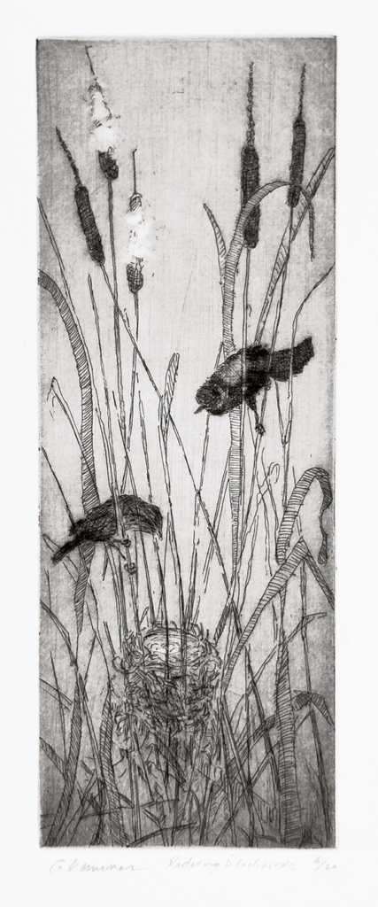 Intaglio print. Etching and drypoint, copper plate: 10 cm x 26.7 cm